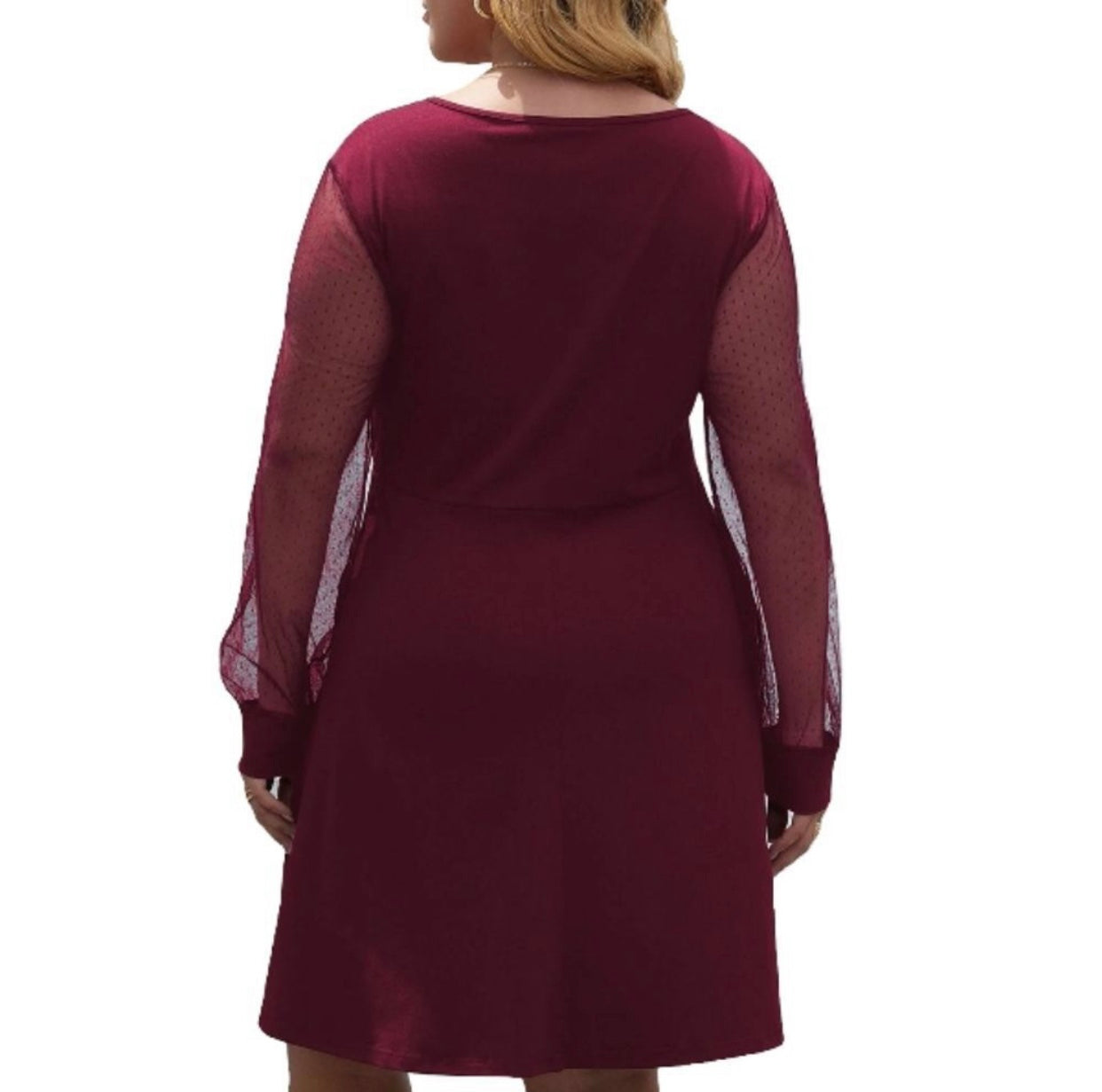 Plus Sheer Swiss Dot Long Sleeve Dress 3X