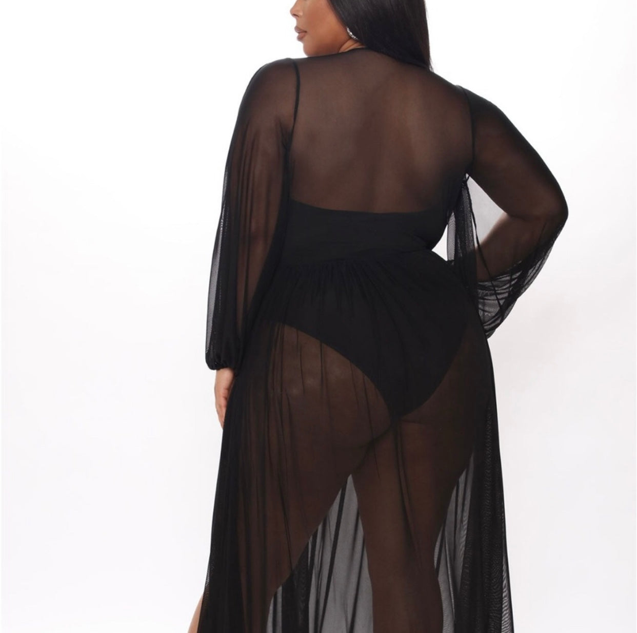 Exotic Sheer Maxi Dress 1X